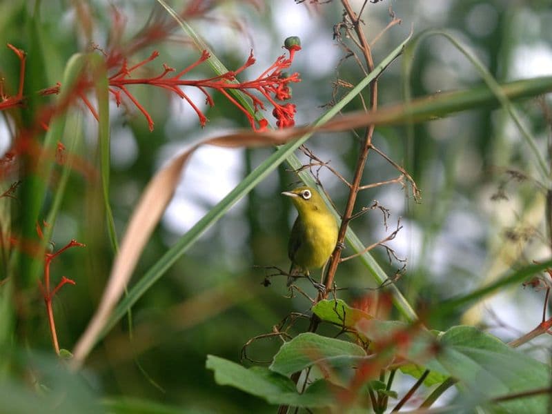 Exotic country in Europe